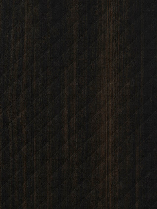 ABS Fittipaldi LR29 CH