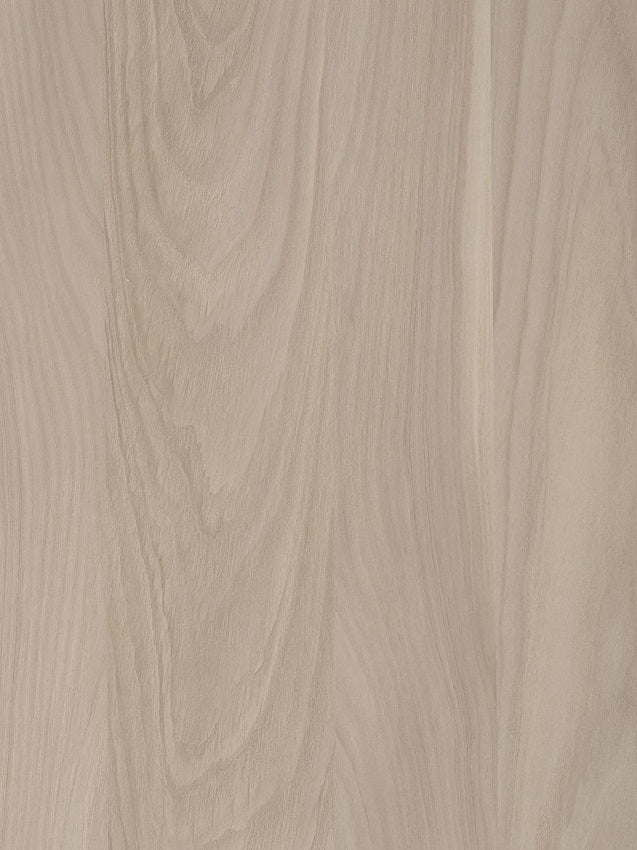 ABS Champagne S010 YS