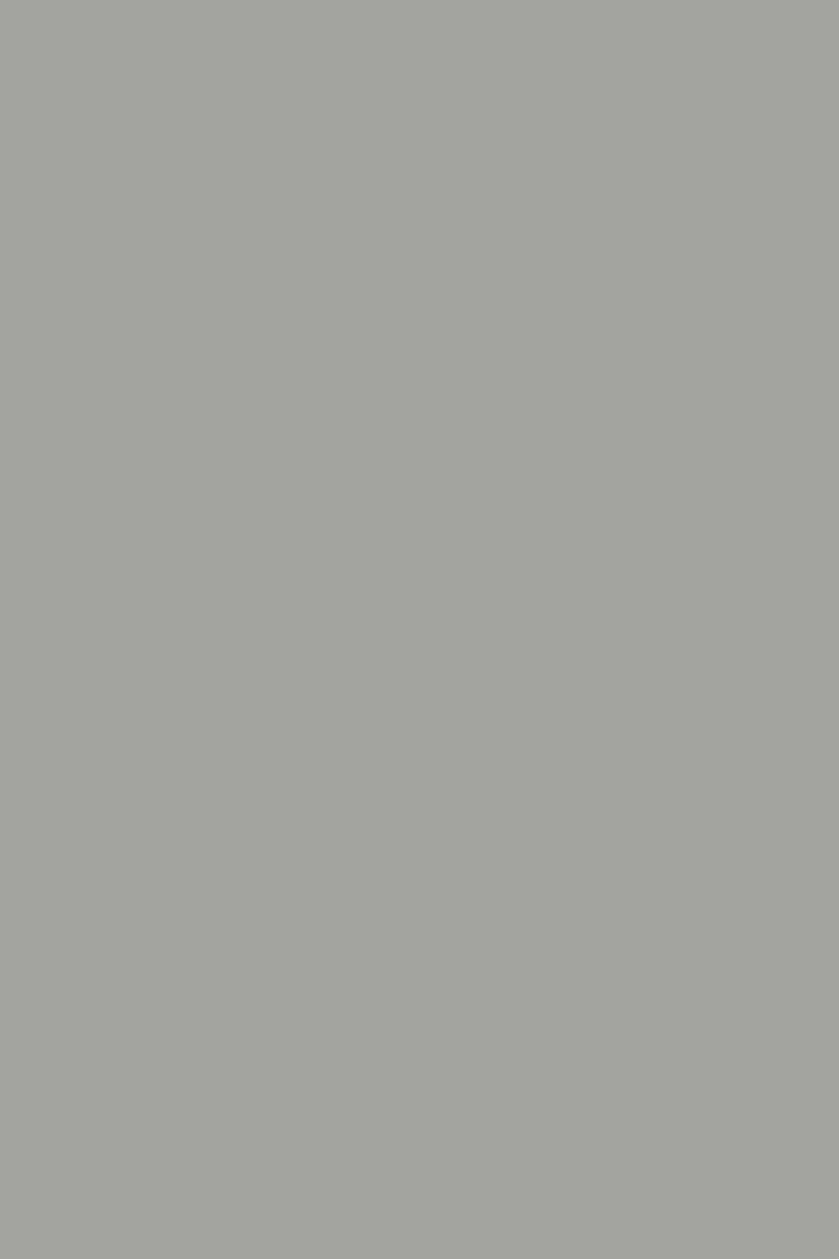 LDTD Chinchilla Grey 0197 SU