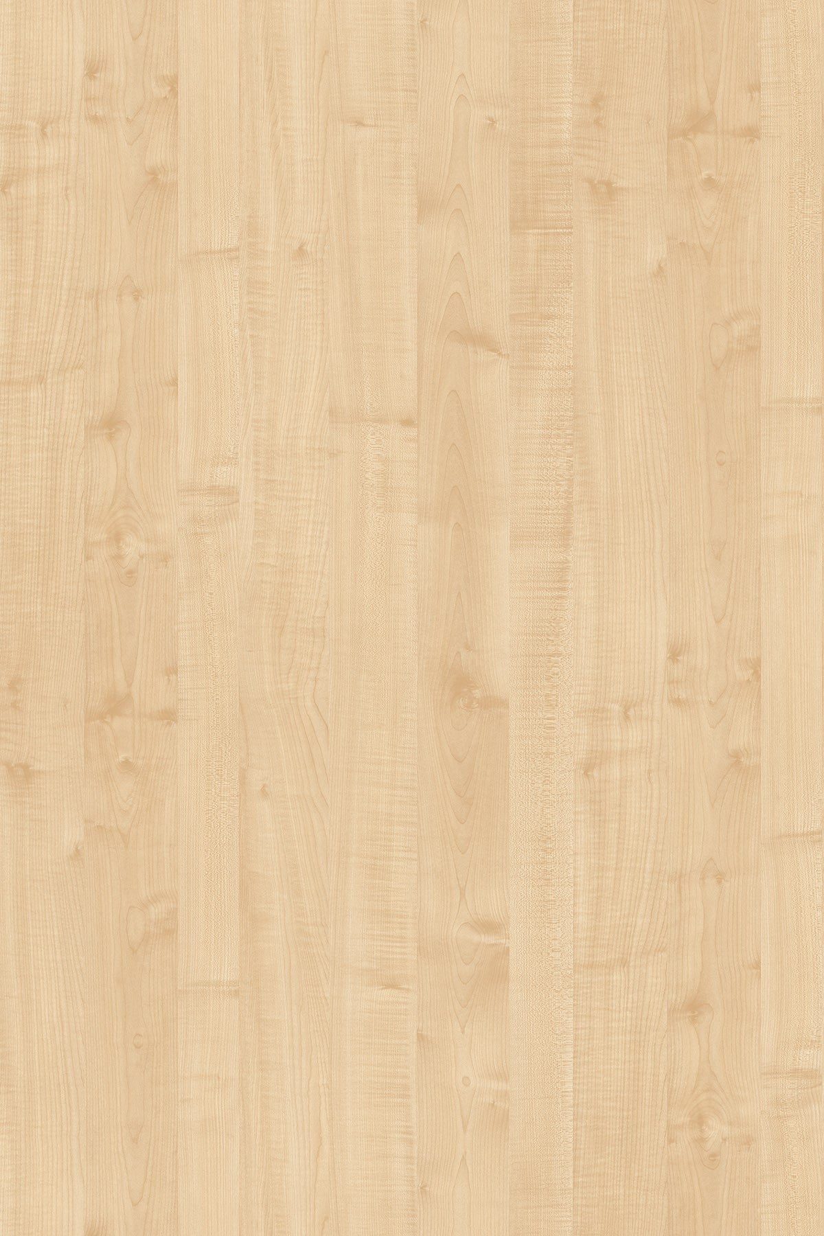 LDTD Maple 0375 BS