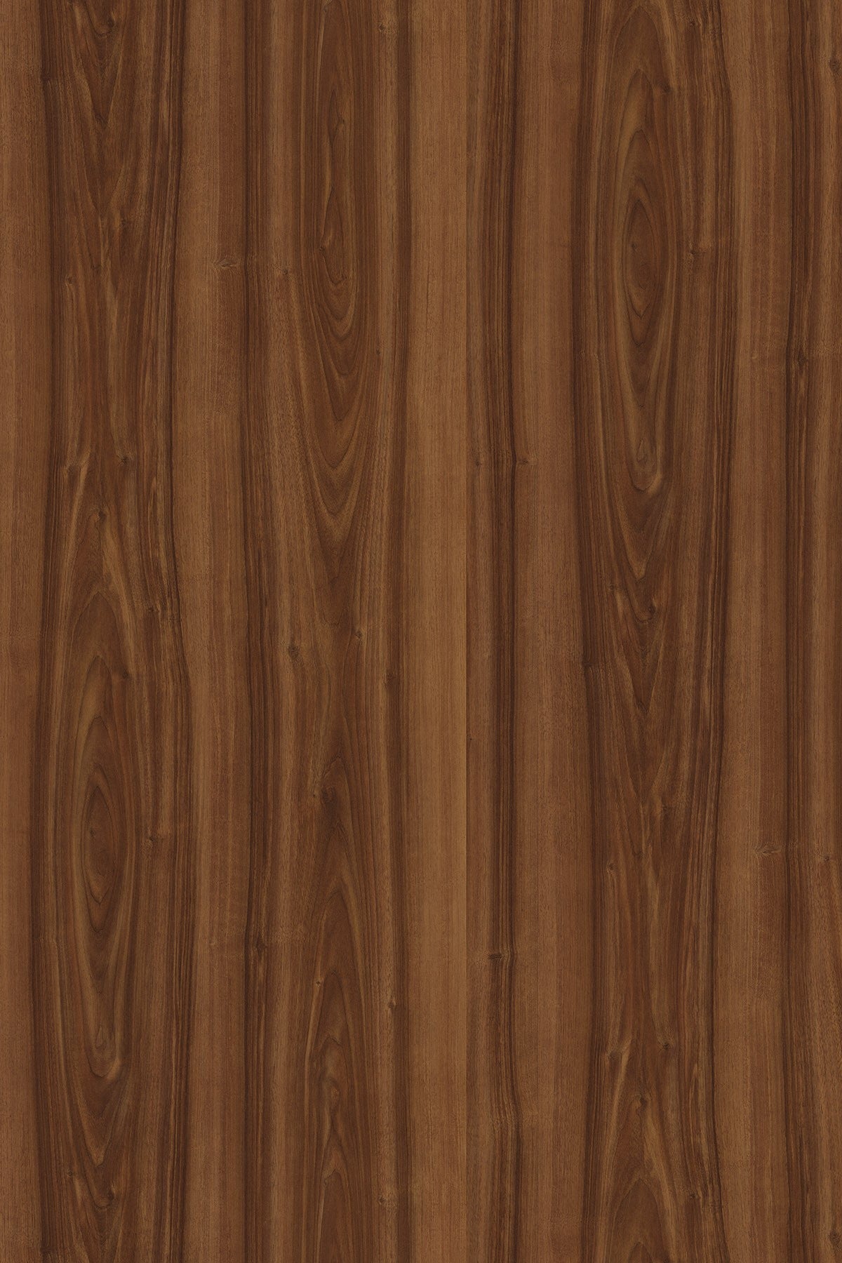 LDTD Walnut 0729 BS