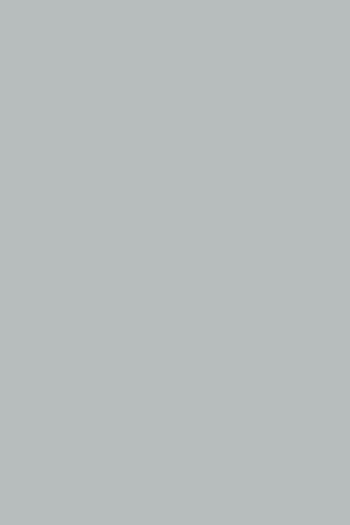 LDTD Steel Grey 1700 PE