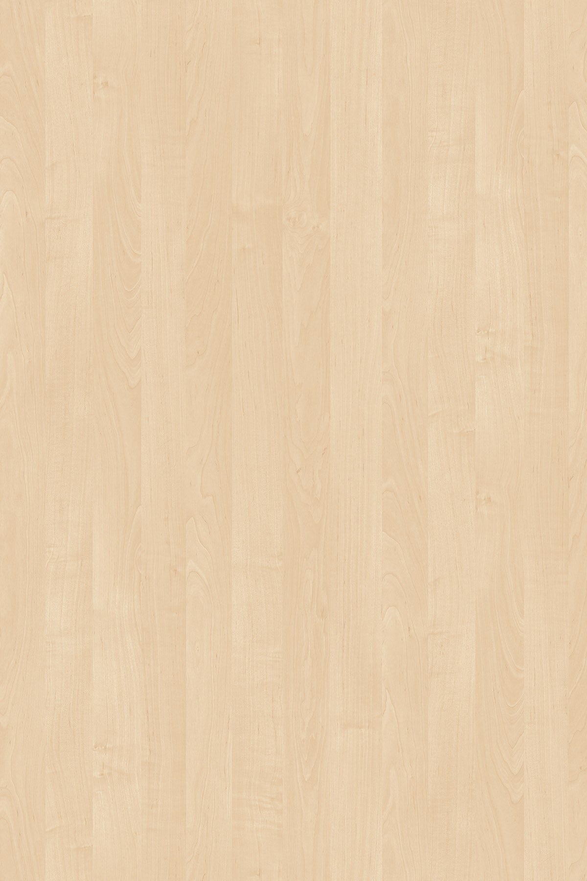 LDTD Birch 1715 BS