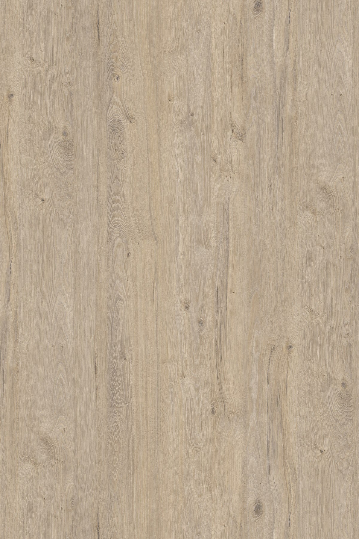 LDTD Dub Coastland Satin K081 PW