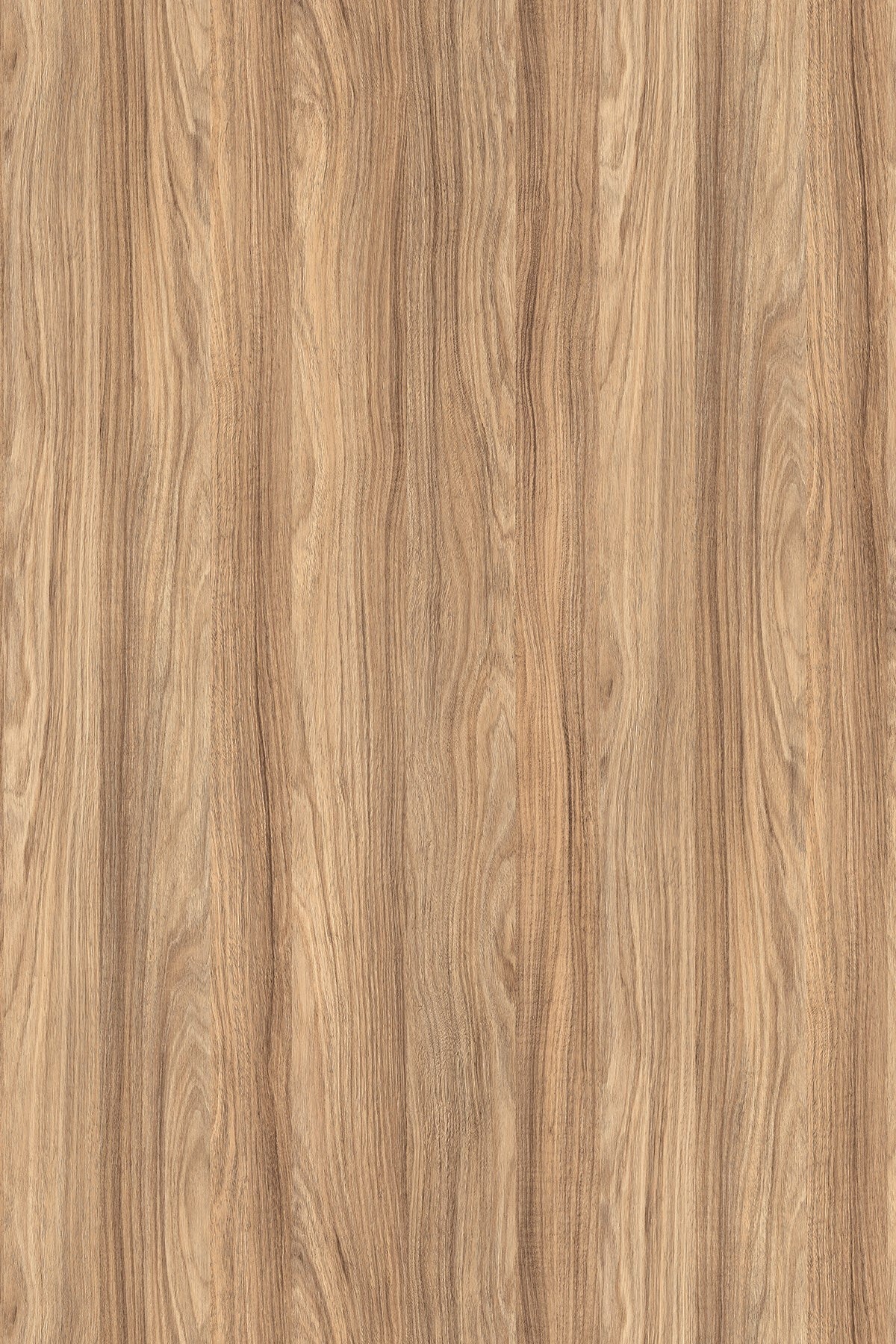 LDTD Barley Blackwood K021 SN