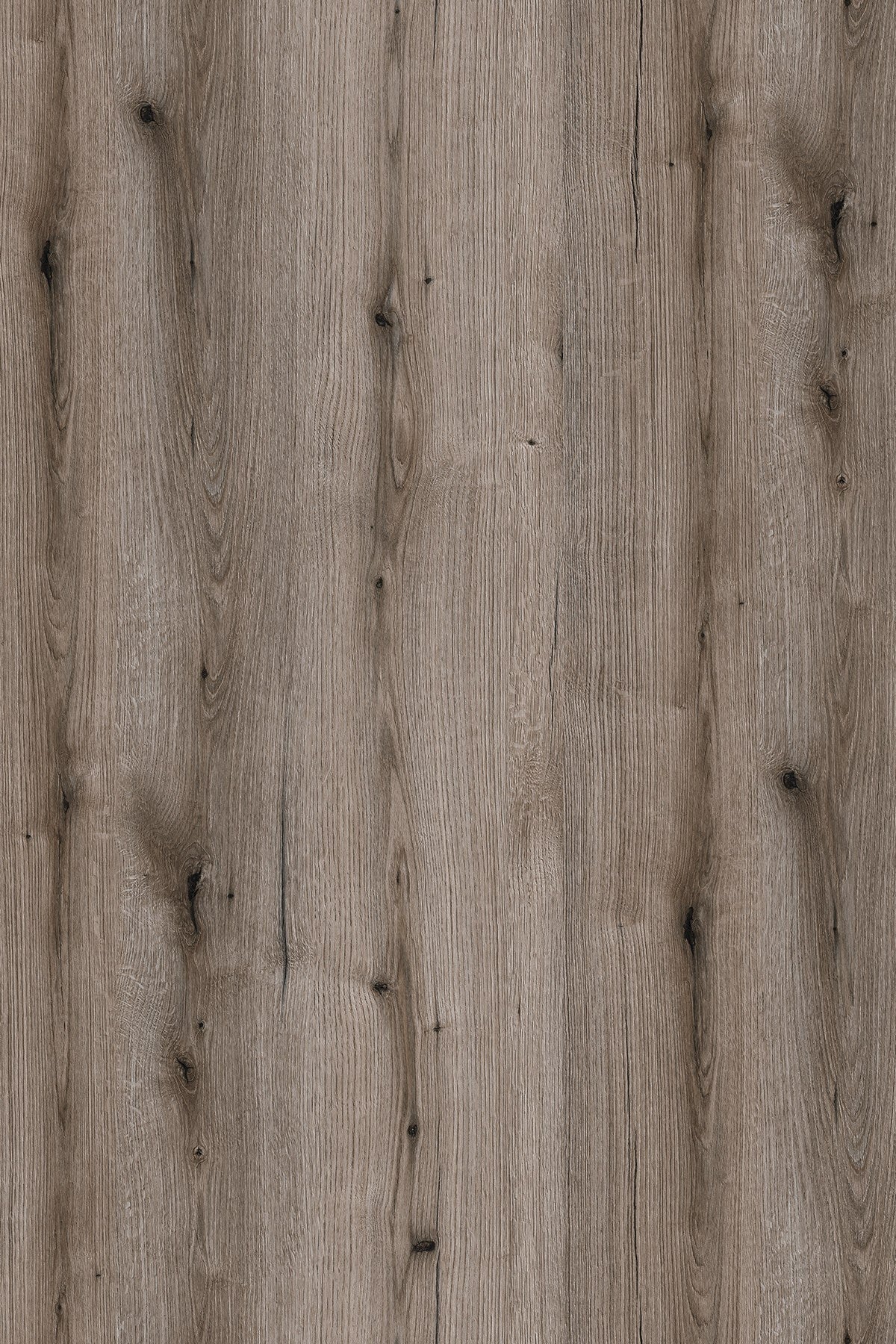 ABS Dub Fossil Evoke K366 PW