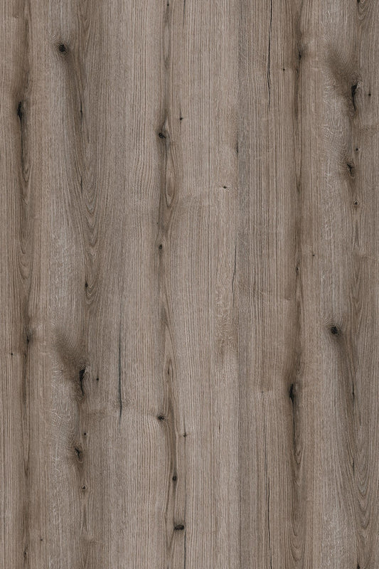 ABS Dub Fossil Evoke K366 PW