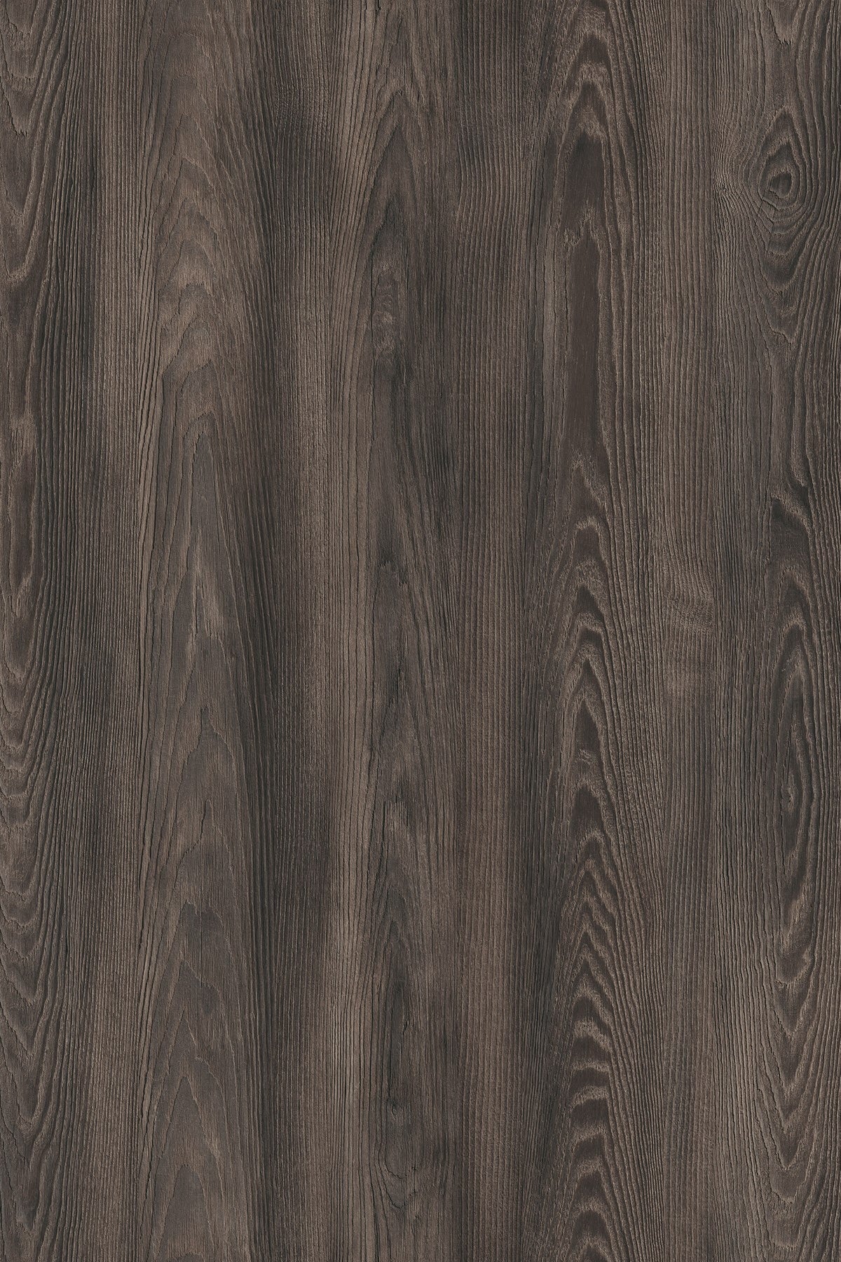 ABS Gastan Mink Arvadonna K533 AD