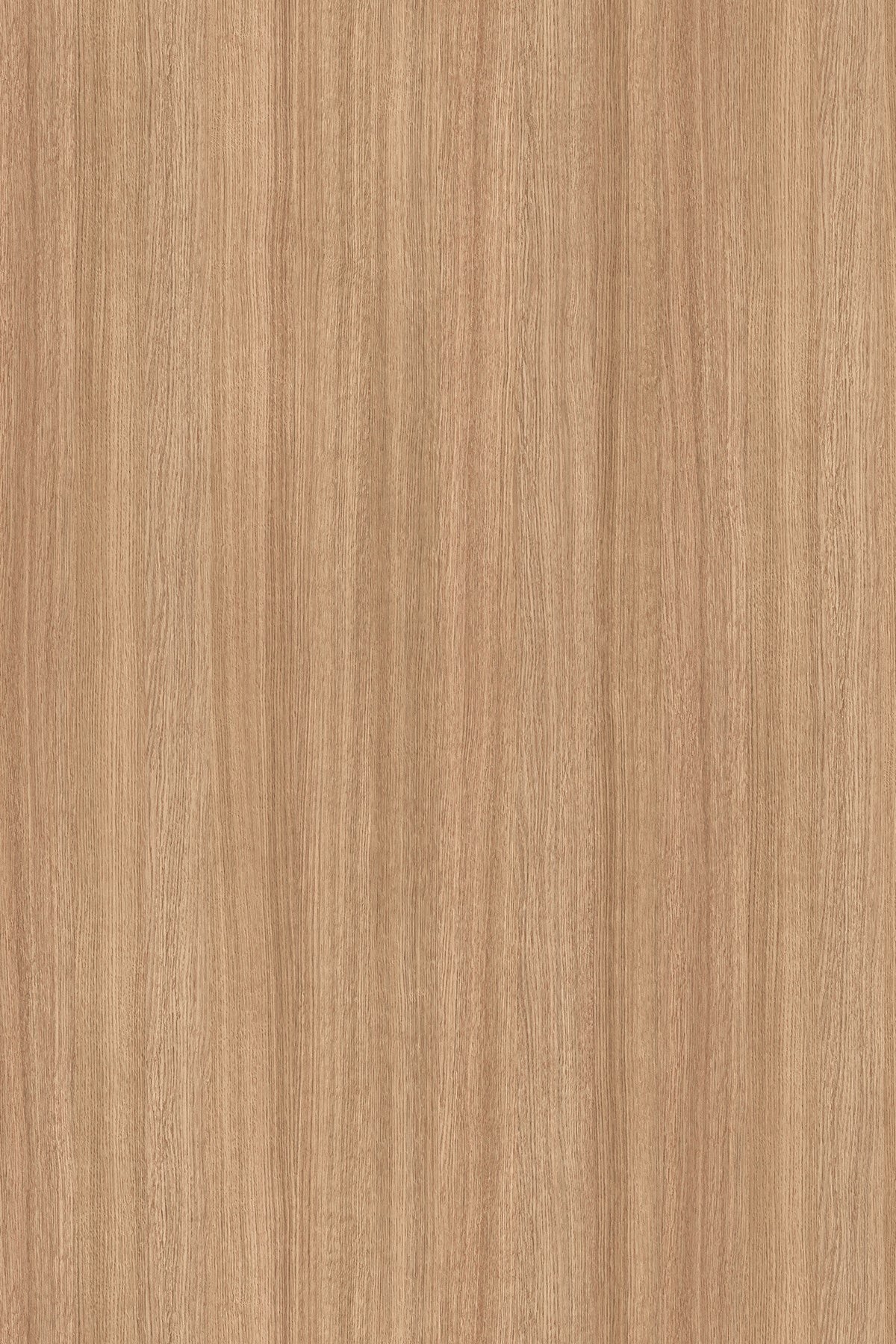 LDTD Slavonia Oak 5501 SN
