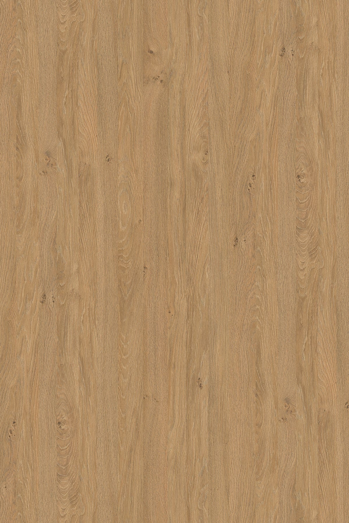 LDTD Stone Oak 5527 SN