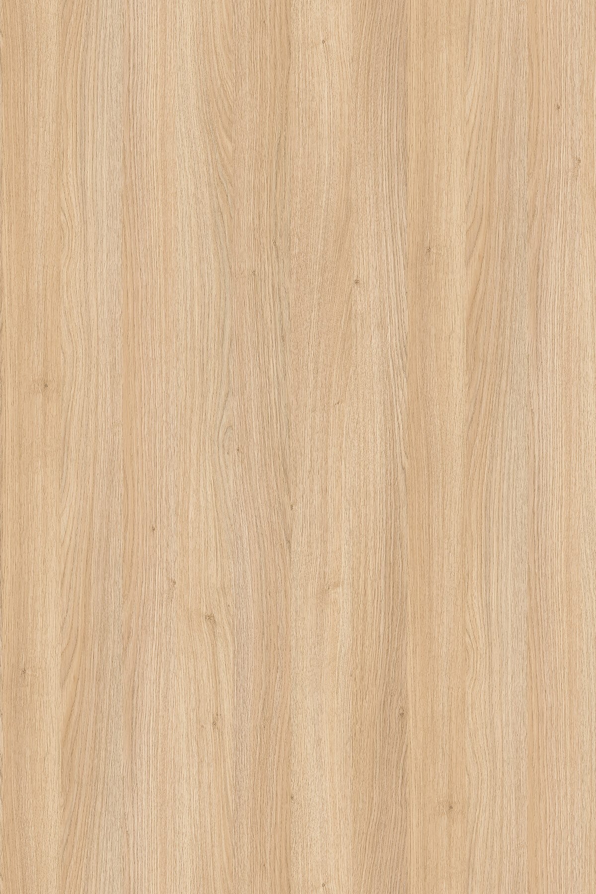 LDTD Fine Oak 8431 SN