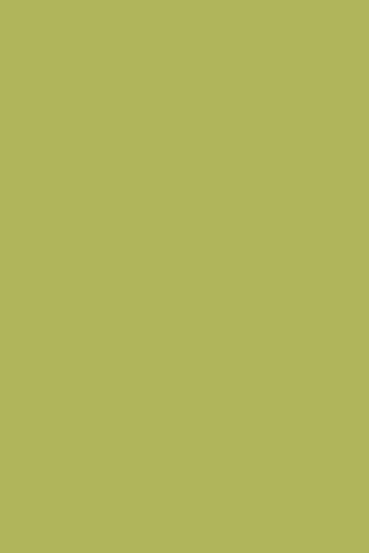 LDTD Ocean Green 8996 BS