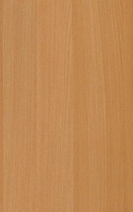 LDTD Buk 381 PR