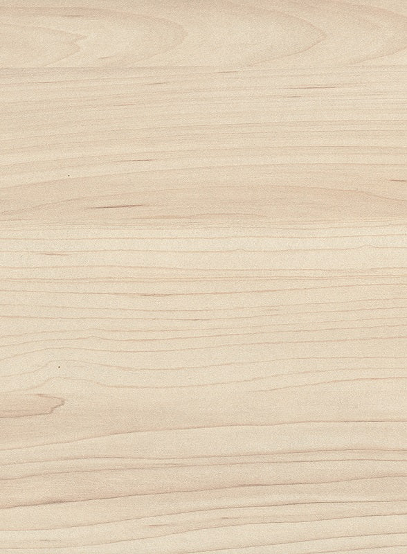ABS Javor Hard šampanský H3860 ST9