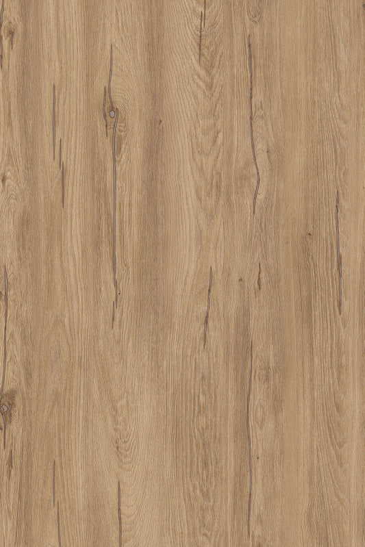 LDTD Hazel Silverjack Oak K544 RW