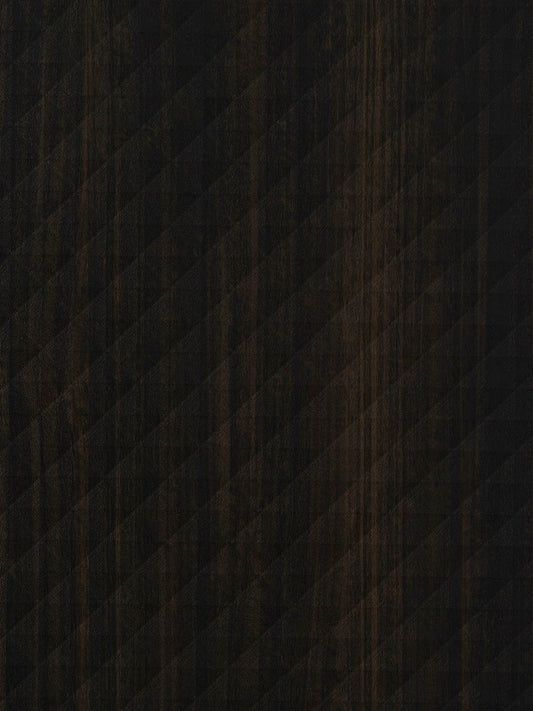 LDTD Fittipaldi LR29 CH