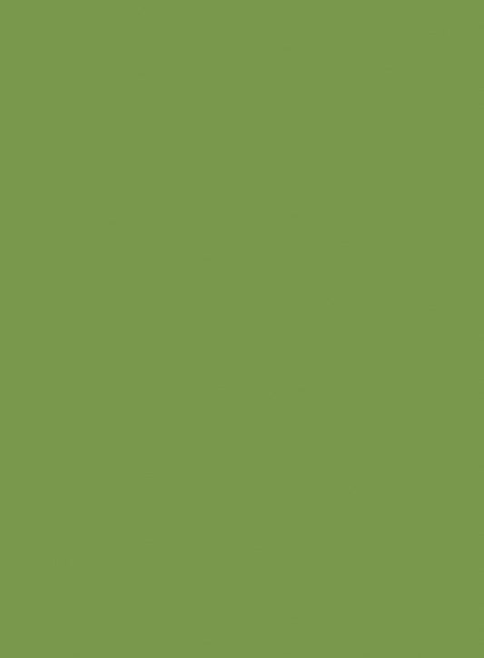 LDTD Kiwi zelená U626 ST9