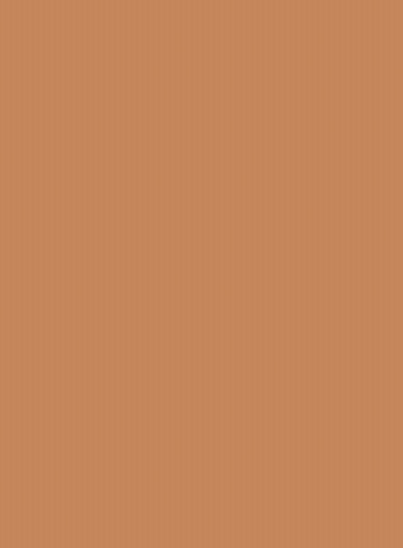 LDTD Nude karamelová U830 ST9