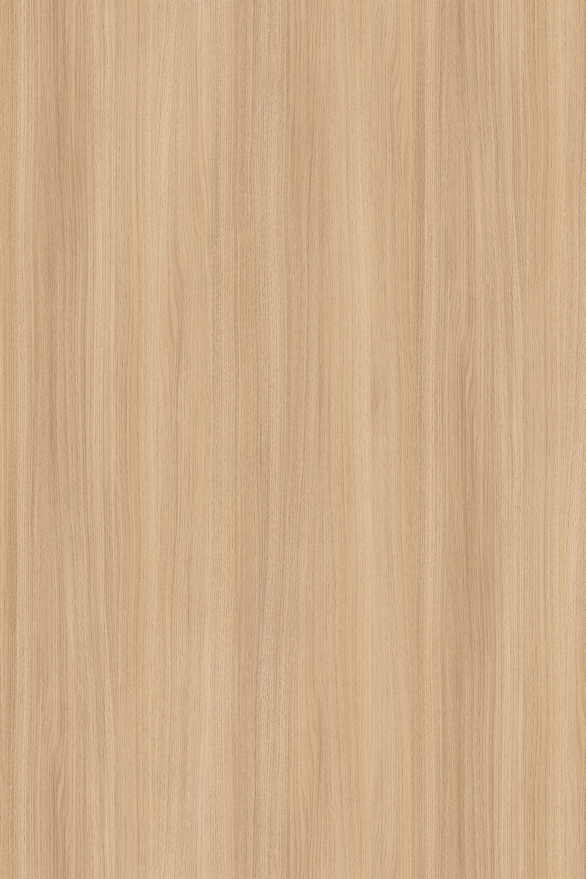 LDTD Sand Barbera Oak K543 SN